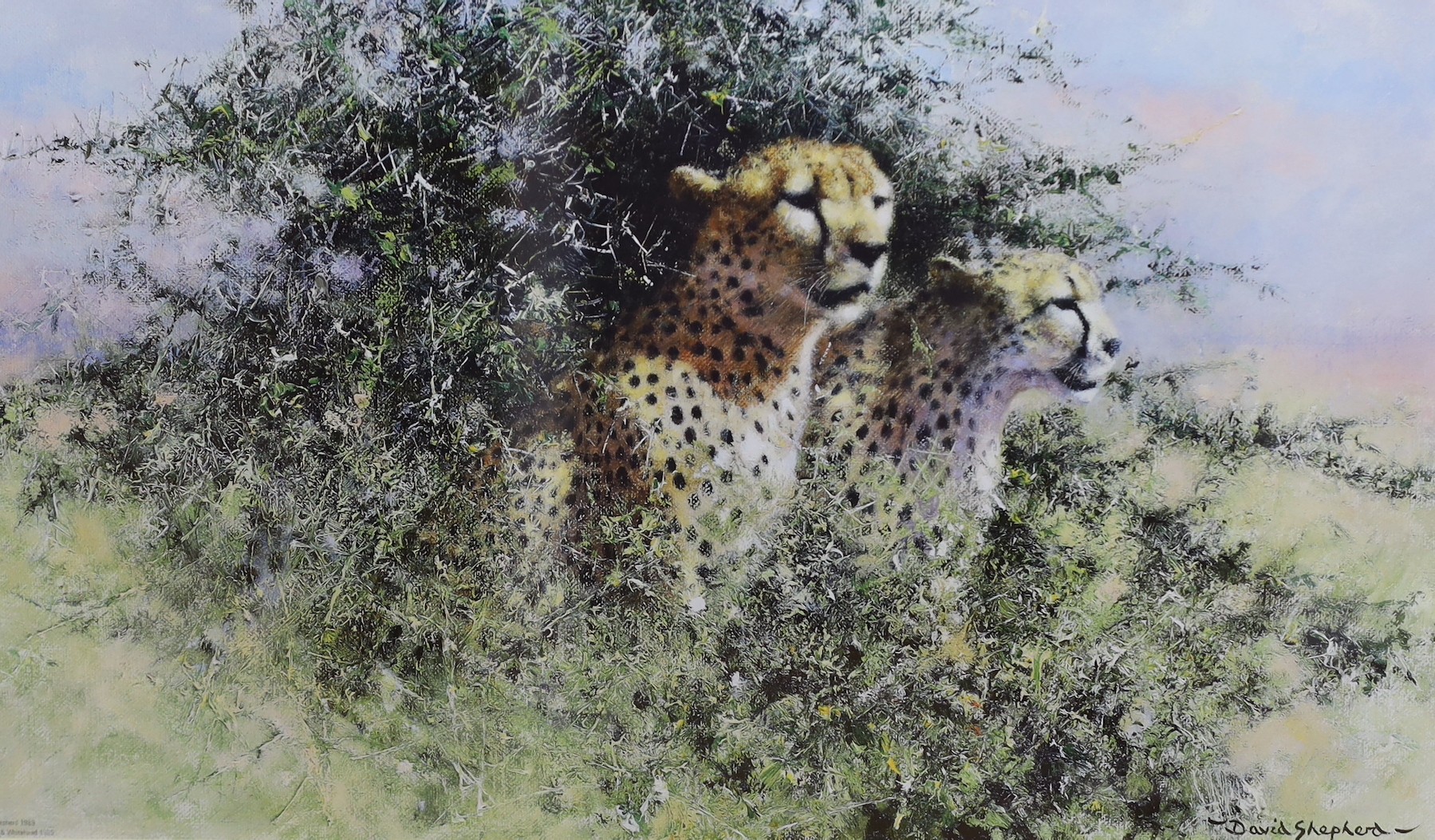 David Shepherd, three limited edition prints, 'Cheetah', 'The Sentinel' and 'In the Thick Stuff', all signed in pencil by the artist, largest 51 x 88cm